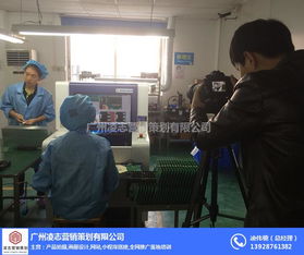 凌志营销策划 花都区画册设计与网络信息安全软件开发的优质融合